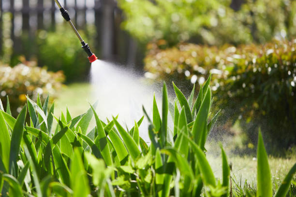 Tamper-Resistant Bait Stations for Rodents in Edgefield
