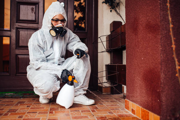 Attic and Crawl Space Rodent Treatment in Edgefield