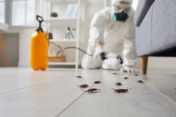 Commercial Rodent Management in Edgefield
